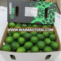 Vietnam Fresh Seedless Lime