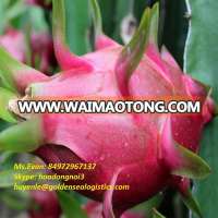 Fresh dragon fruit quality for sale best price