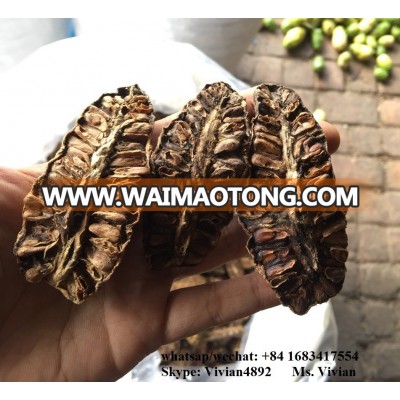 DRIED NONI FRUIT// VIETNAM NONI FRUIT( Whatsapp/ kakaotalk: 0084 938244404