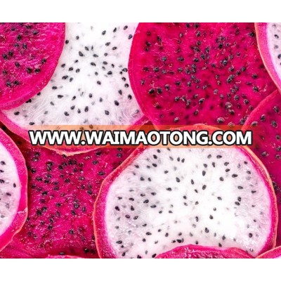 RED DRAGON FRUIT // VIETNAM DRAGON FRUIT// Contact 84 1683417554