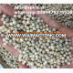 White pepper price 630 gr/l email: julia@spice.vn whatsapp 0084979171029