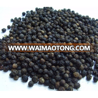 Black Pepper Vietnam Price 550G/L FAQ NEWEST SEASON 2017- contact Whatsapp/Wechat:+84 1683417554