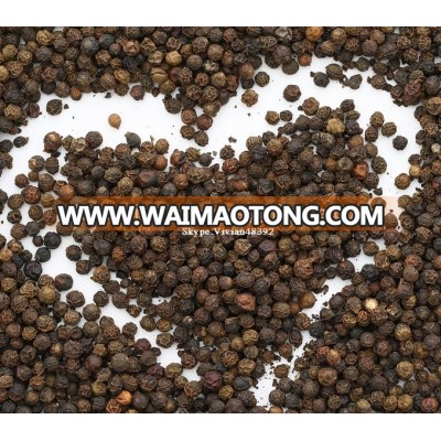 Black pepper from Vietnam, best quality & good price, Dailocvina Brand